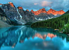 枪声震天博主晒孟菲斯市新闻画面：没人愿意加盟灰熊