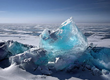 枪声震天博主晒孟菲斯市新闻画面：没人愿意加盟灰熊