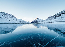 枪声震天博主晒孟菲斯市新闻画面：没人愿意加盟灰熊